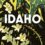 Idaho: A Novel Review